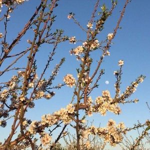 Meet your Posher, Rose